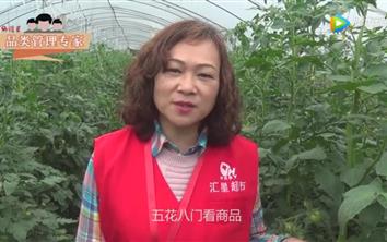 用专业管理商品 听他们如是说