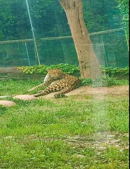 微信图片_20190707150422