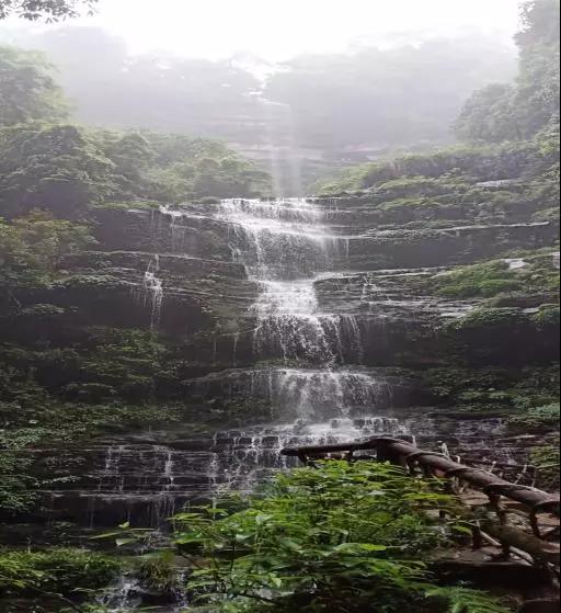 微信图片_20190707150515