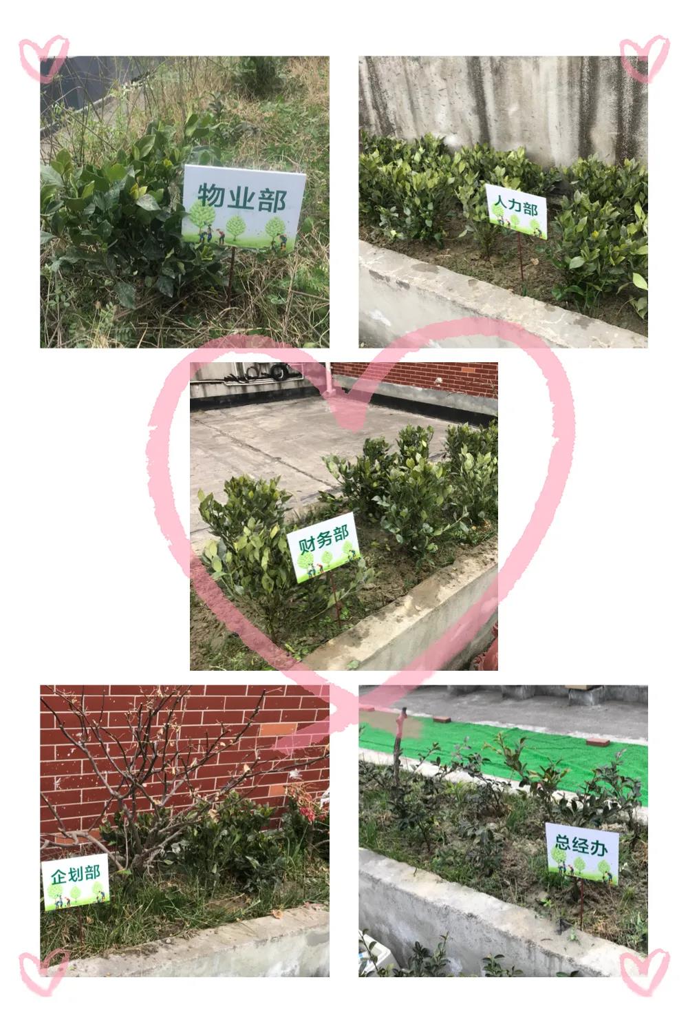 微信图片_20200423100024